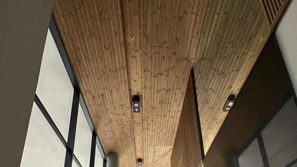 ترمووود فنلاندی